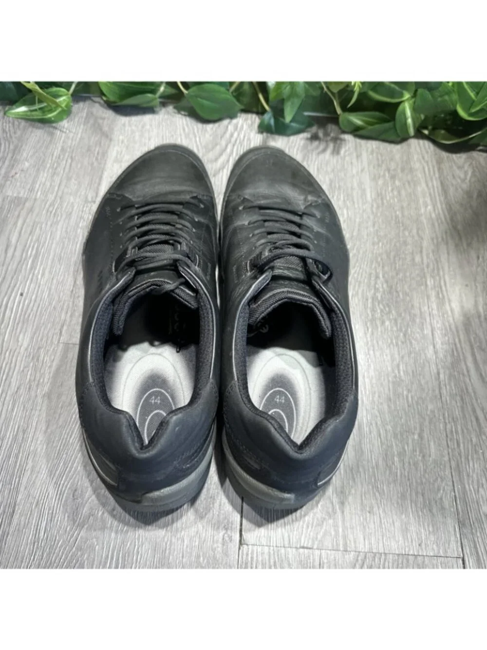 Ecco please check